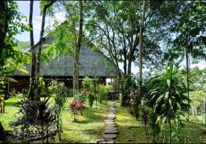 Flower of Life Ayahuasca Retreats Flower of Life Ayahuasca Retreats