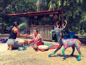 Xanga Guru Experiences Xanga Guru Experiences