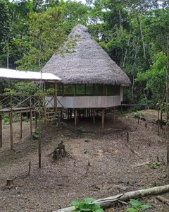 Luz Y Vida Amazon Lodge