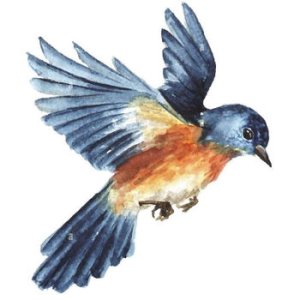 Shauna Sedler Shauna Sedler