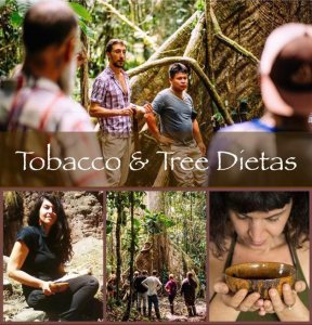 Nicotiana Rustica Nicotiana Rustica