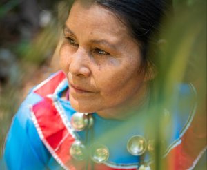 Ayahuasca Temple Ayahuasca Temple