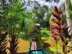 Hummingbird Healing Center Hummingbird Healing Center