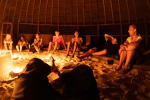 Psychonauta Foundation Psychonauta Foundation