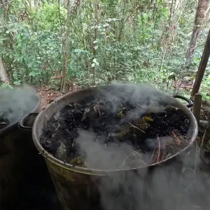 Home of Ayahuasca Home of Ayahuasca