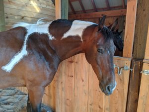 Charlan Heid Charlan Heid