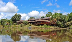 Ayahuasca Foundation Ayahuasca Foundation