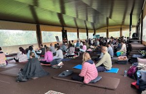 Projeto SimplesMente