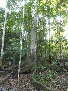 Inti Eco Lodge Inti Eco Lodge