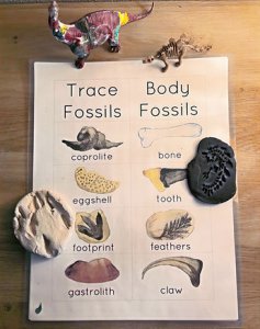 Flourish Within Flourish Within