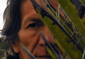 Bufo Alvarius Sanctuary Bufo Alvarius Sanctuary