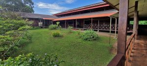 Ayahuasca Foundation Ayahuasca Foundation