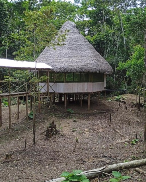 Luz Y Vida Amazon Lodge