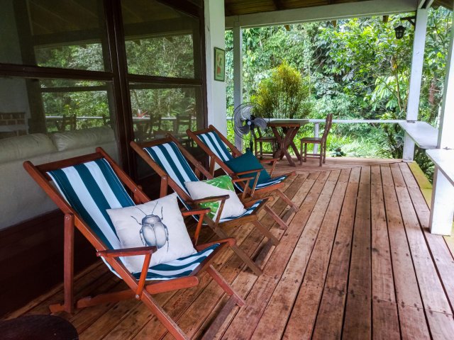 Wandari Plant Master Boutique Retreat