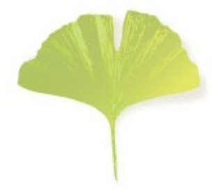 Robin Marie Van Maarth