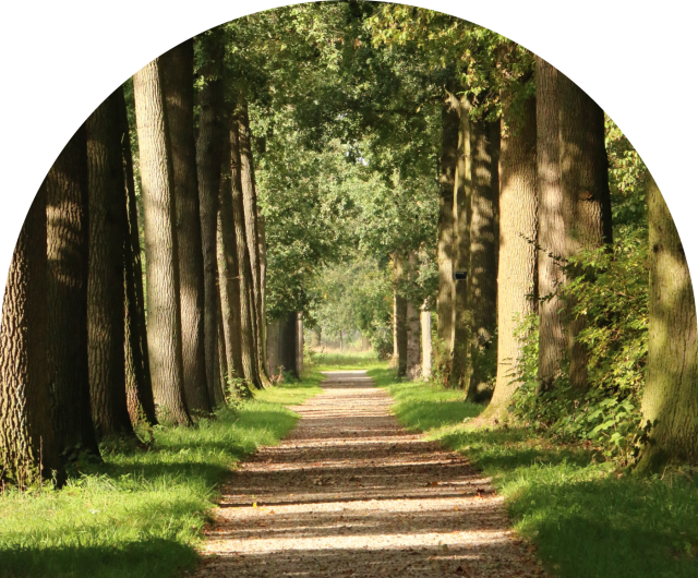 Dimensions Retreats Algonquin Highlands